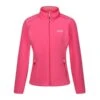 Regatta Floreo IV Flamingo Pink Dames Fleecevest -Kampeerartikelen Korting 694483 rwa528 jrn 1 ecommerce