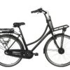 Merkloos Villette Transporter E-bike 1 Merkloos Villette Transporter E-bike -Kampeerartikelen Korting f85aa9f0e49f24e4