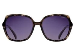 Sinner Montara Sintec Zonnebril